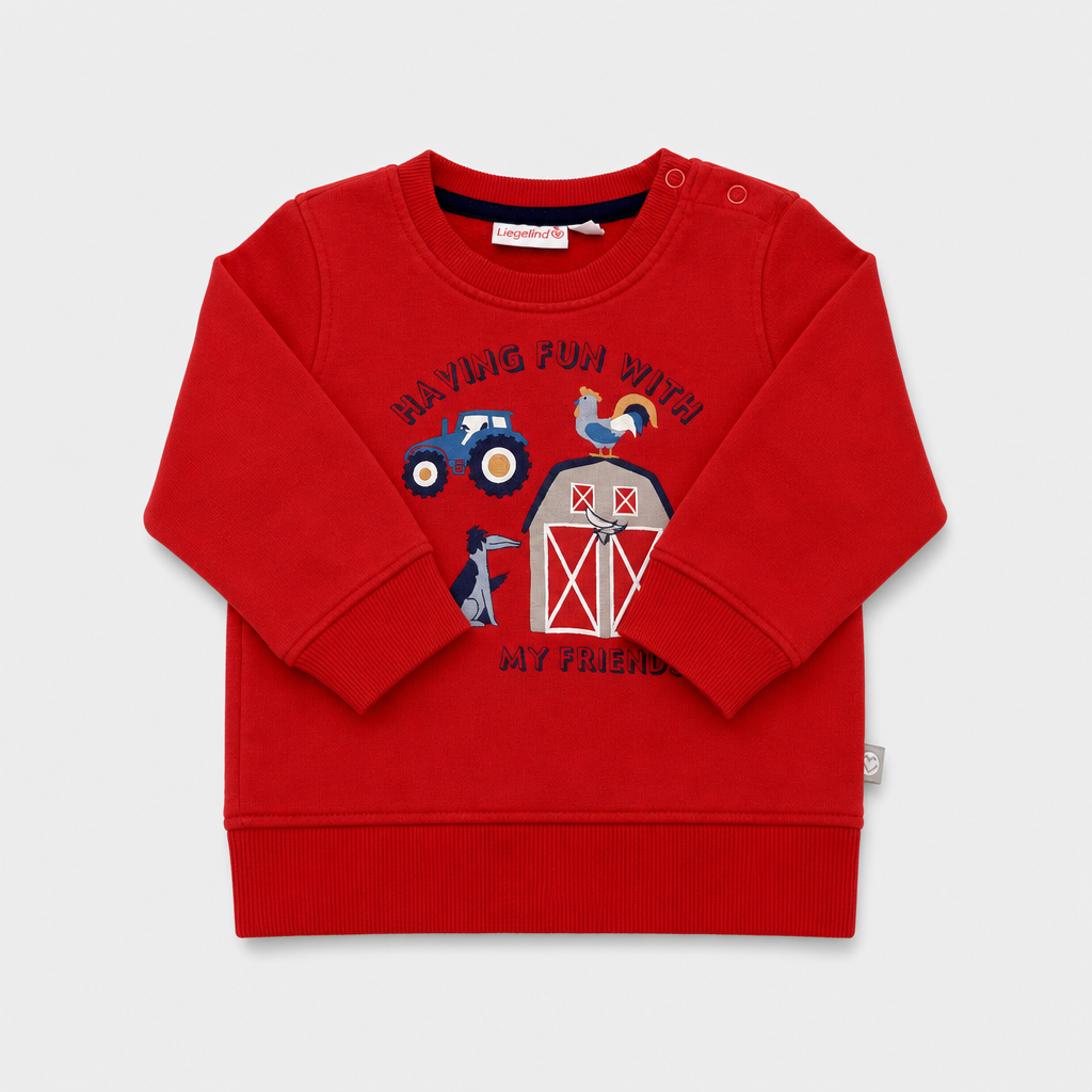 Felpa - Bambino - 84 - 89 | 18 mesi