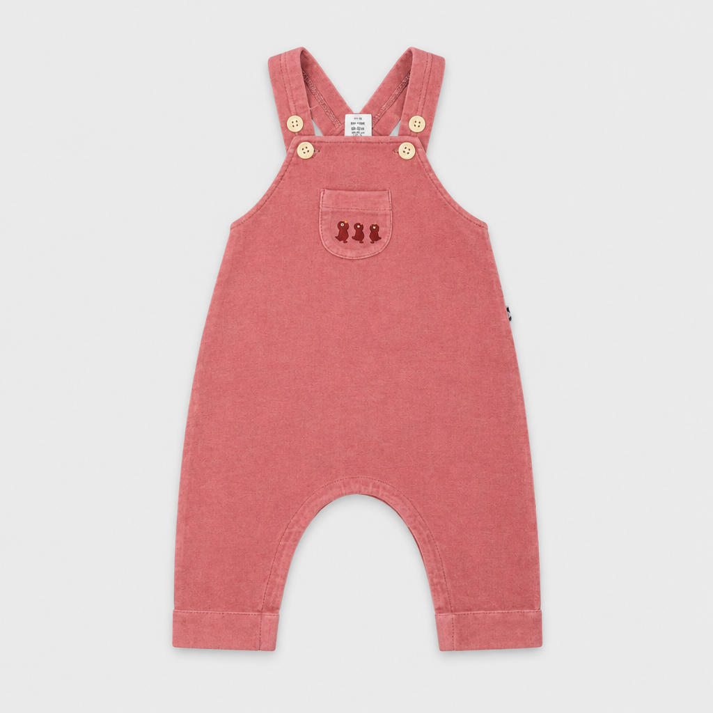 Salopette - Bambina - 60 - 65 | 3 mesi