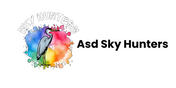 Asd Sky Hunters