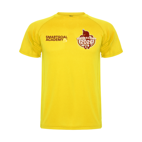 T-shirt technique