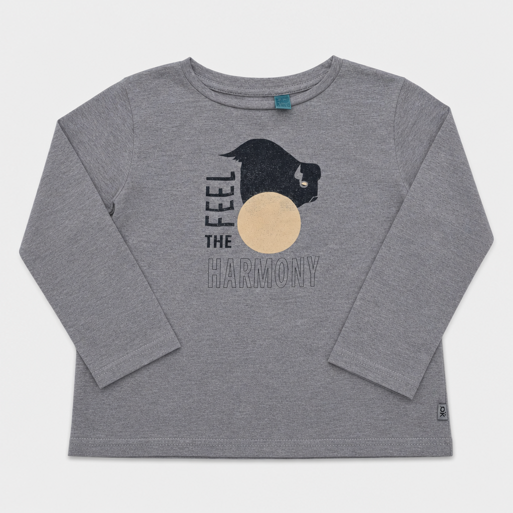 Maglietta maniche lunghe - Bambino - 102 - 107 | 4 anni