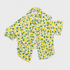 Camicia - Bambina - 108 - 113 | 5 anni