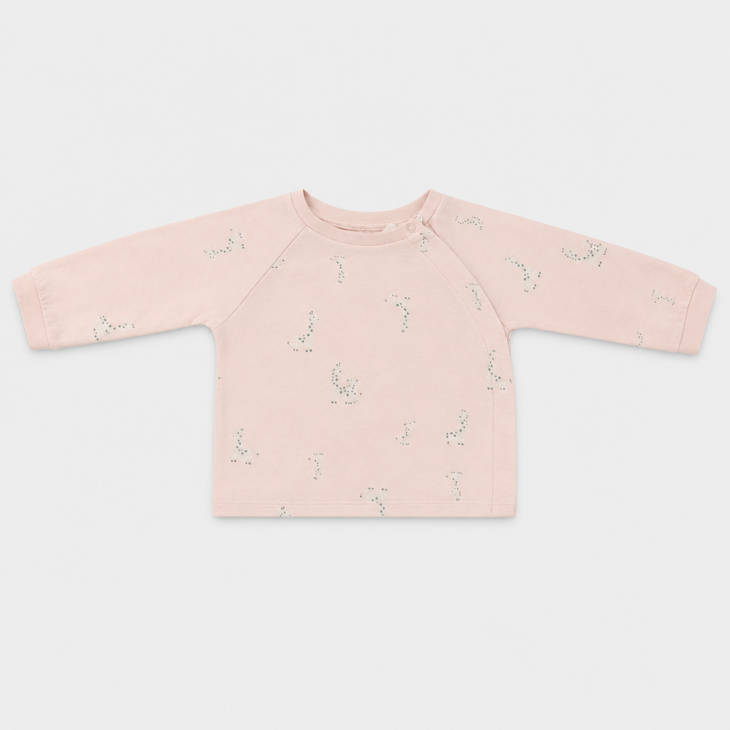 Maglietta maniche lunghe - Bambina - 66 - 71 | 6 mesi